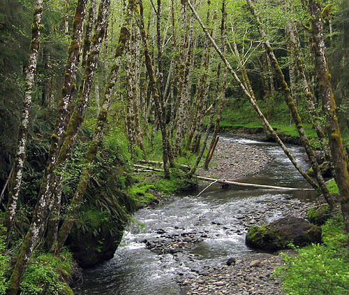 Lewis and Clark River